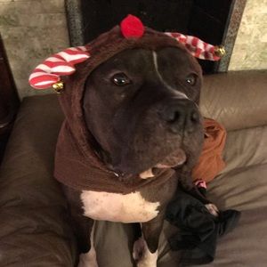 Meet your Posher, Alisa